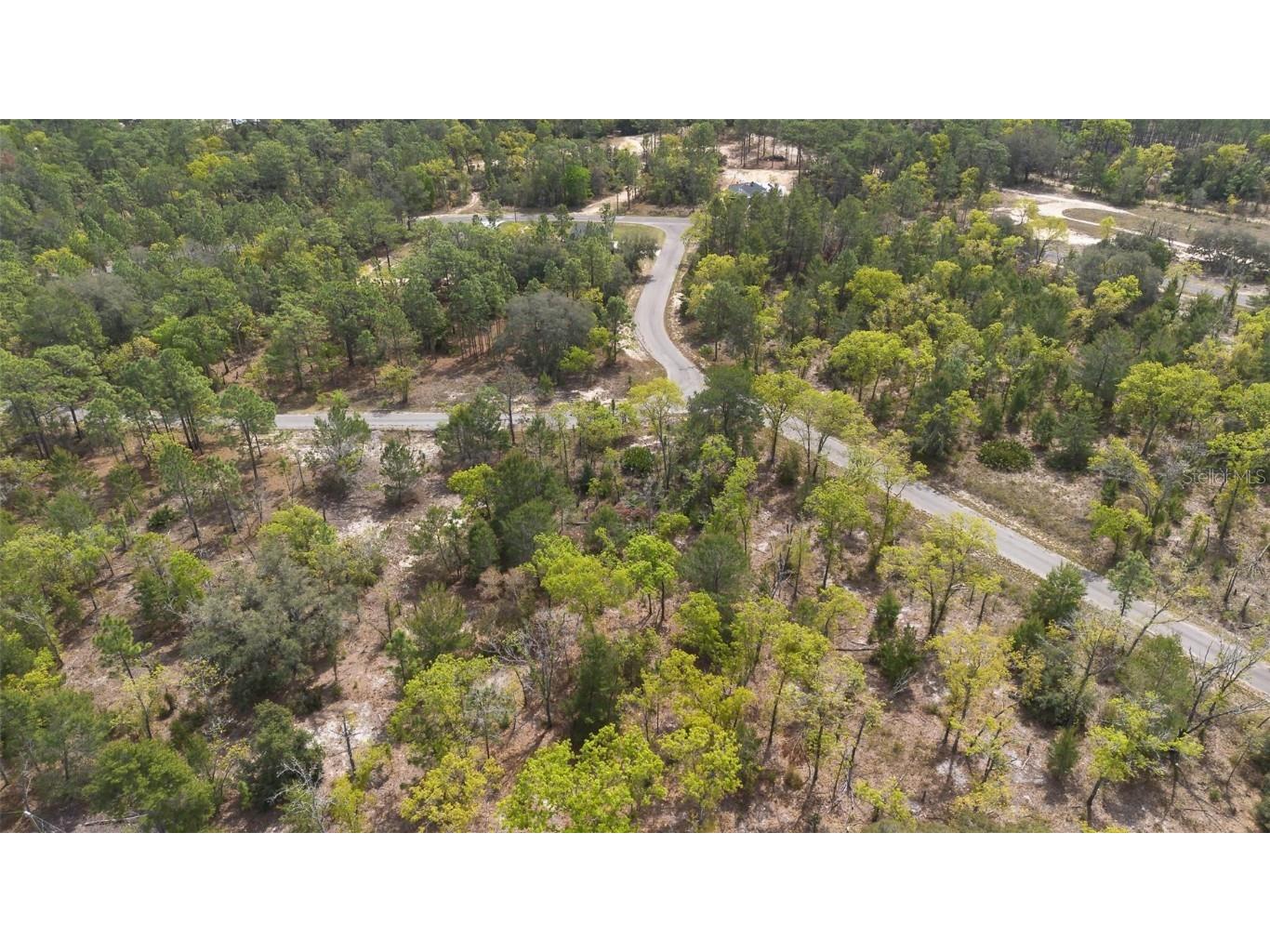 Guava Pass Way Ocklawaha FL 32179 O6240045 image16