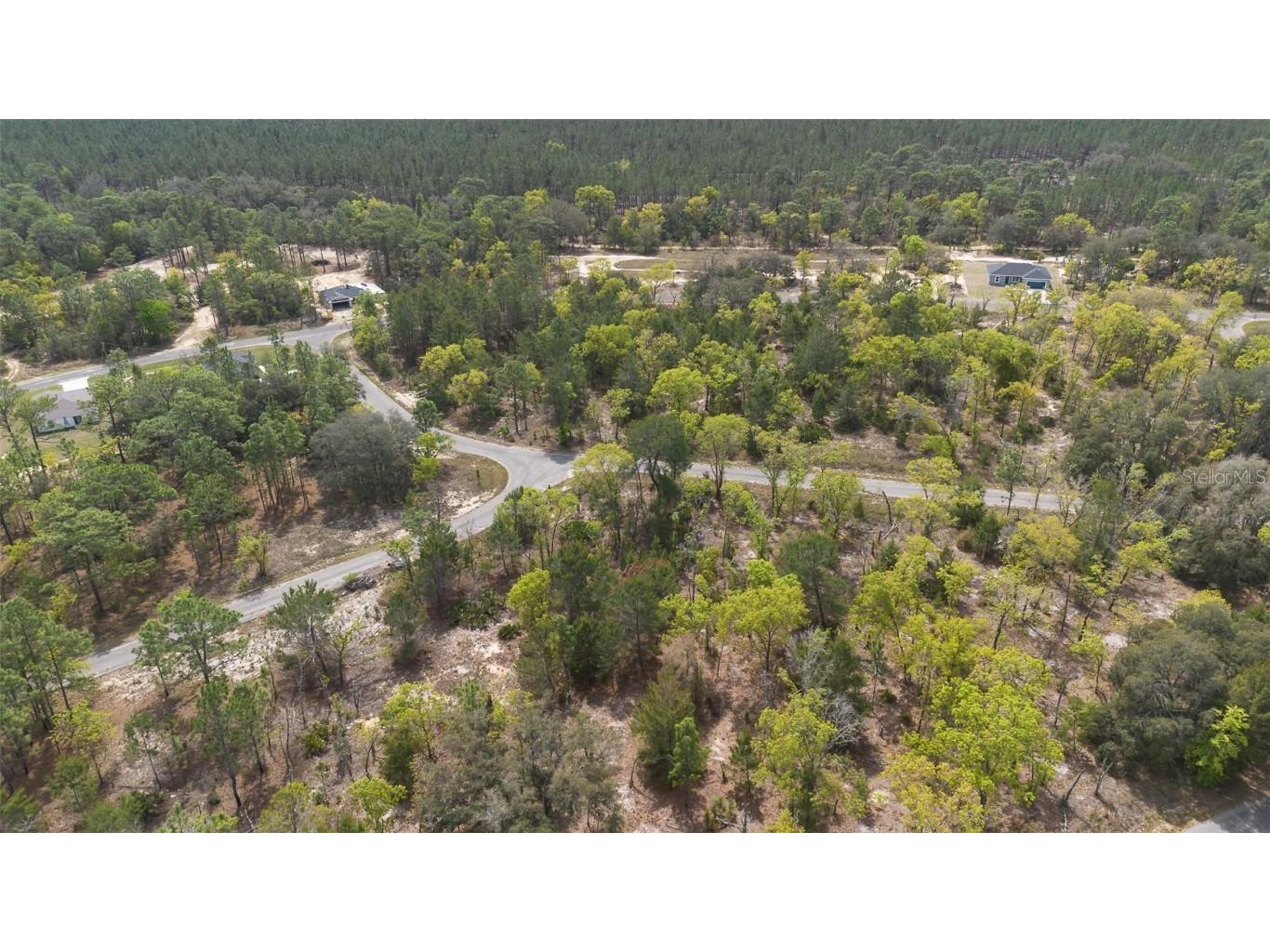 Guava Pass Way Ocklawaha FL 32179 O6240045 image17