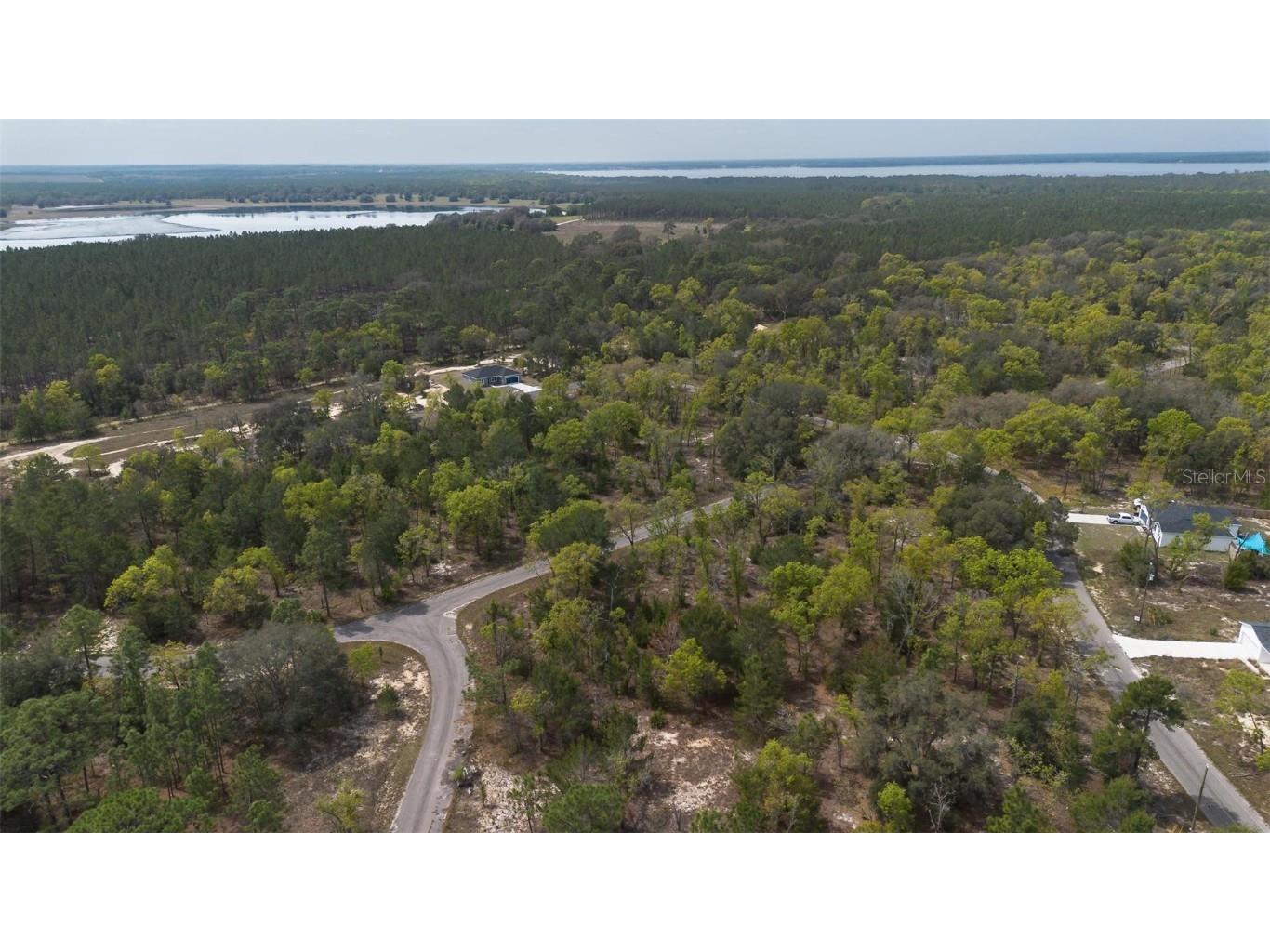 Guava Pass Way Ocklawaha FL 32179 O6240045 image18