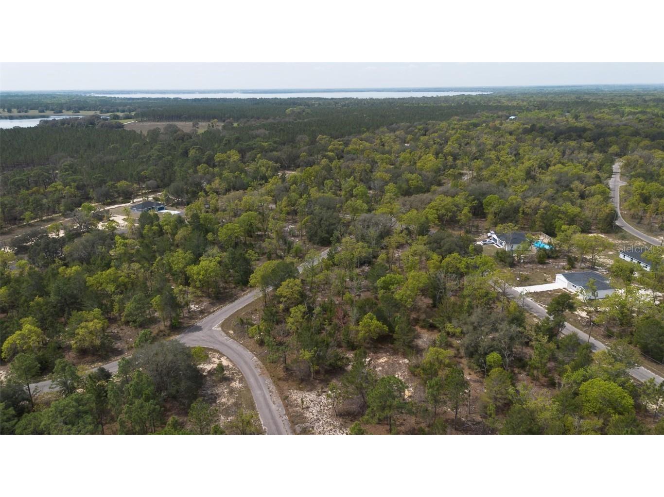 Guava Pass Way Ocklawaha FL 32179 O6240045 image19