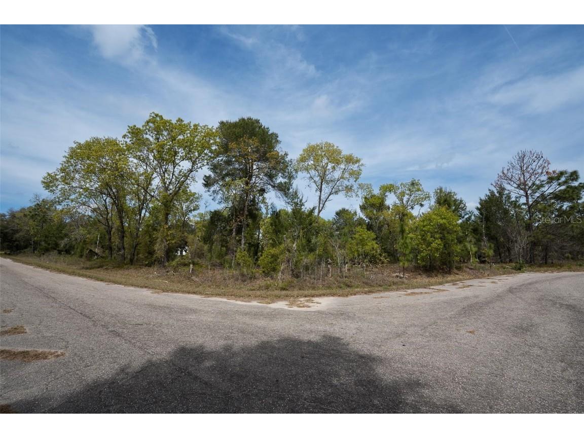 Guava Pass Way Ocklawaha FL 32179 O6240045 image2