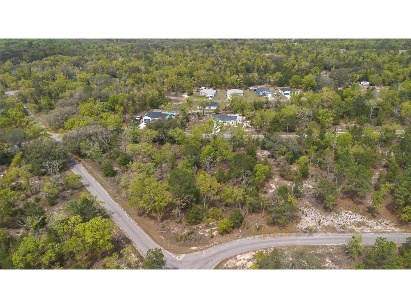 Guava Pass Way Ocklawaha FL 32179 O6240045 image23