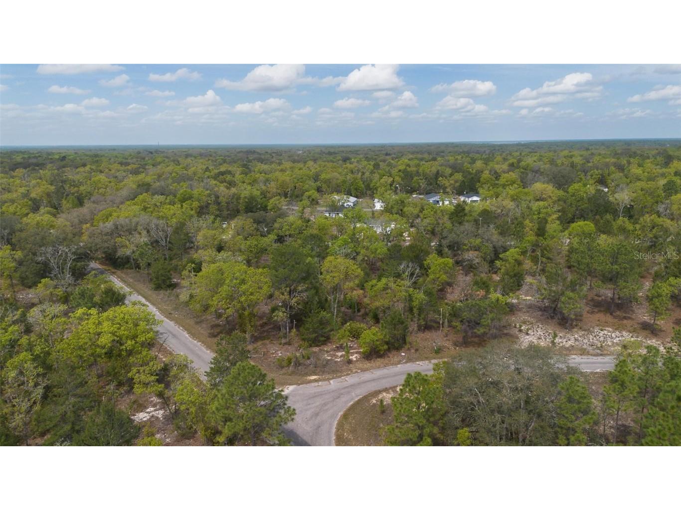 Guava Pass Way Ocklawaha FL 32179 O6240045 image24