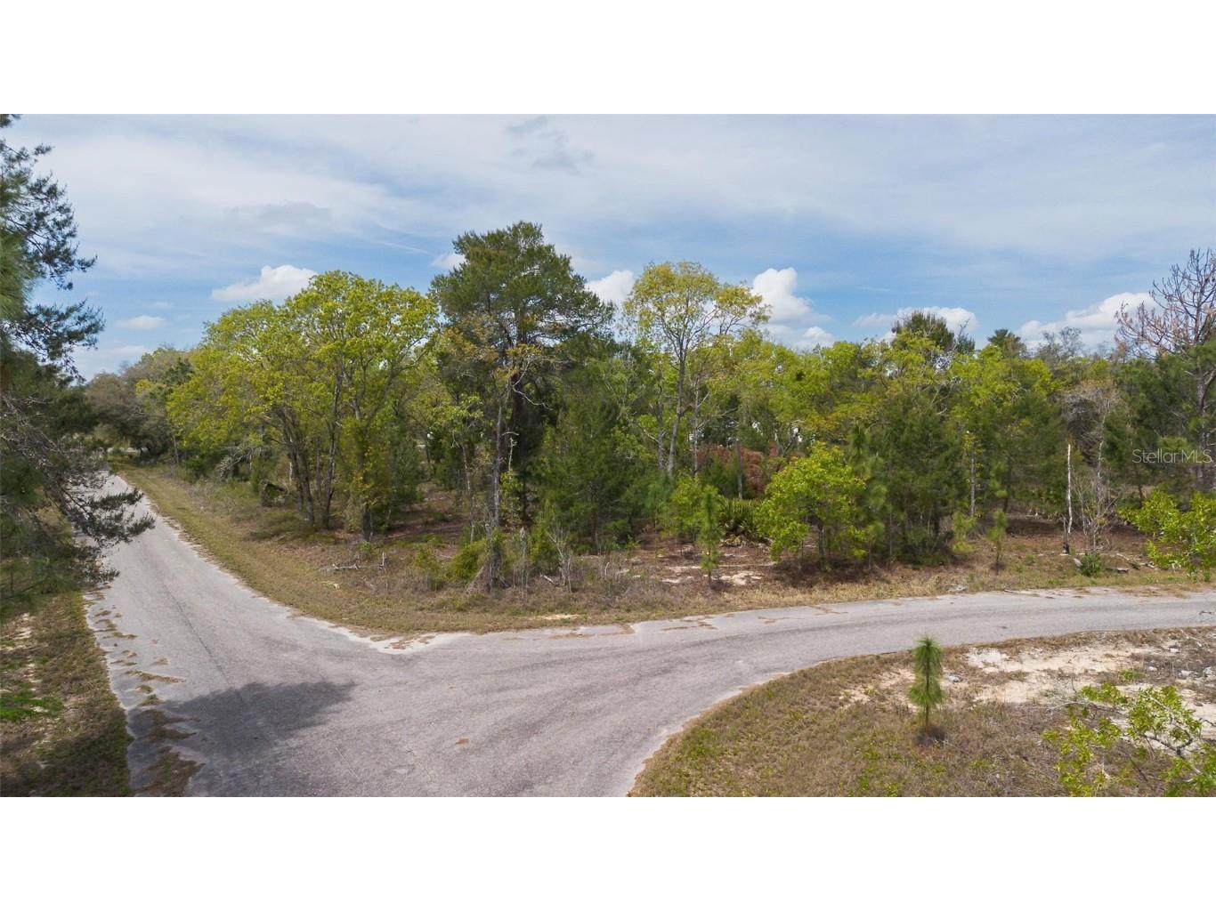 Guava Pass Way Ocklawaha FL 32179 O6240045 image25