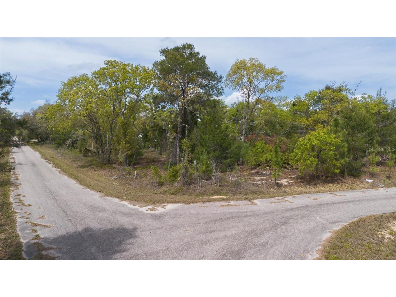 Guava Pass Way Ocklawaha FL 32179 O6240045 image26