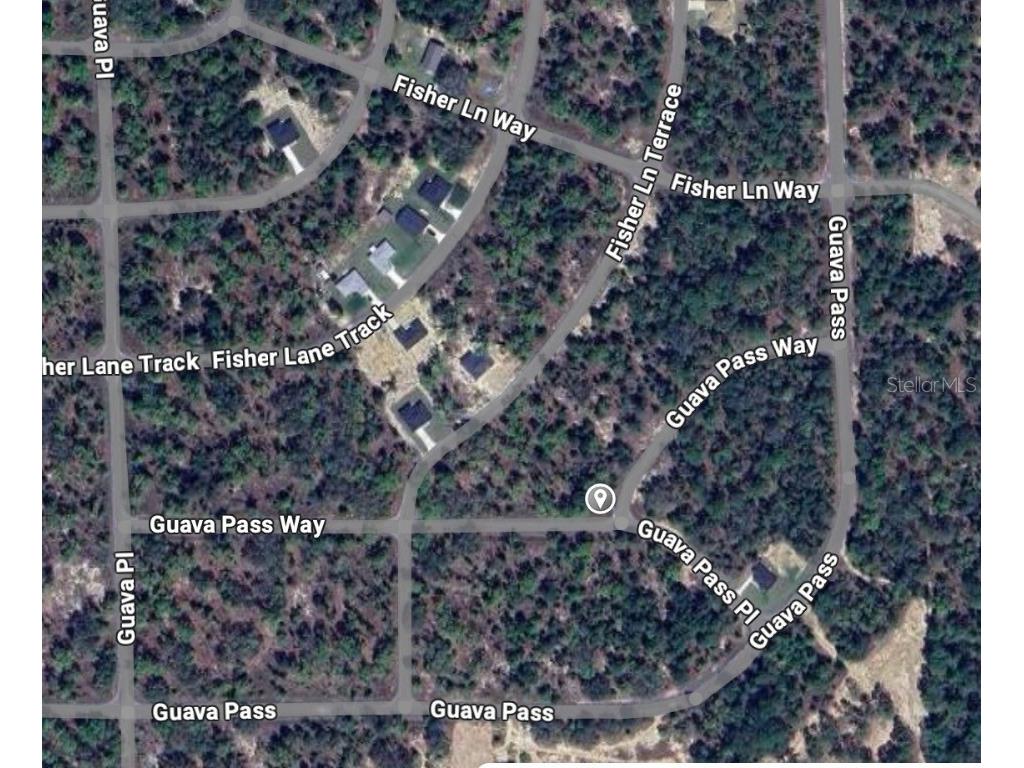 Guava Pass Way Ocklawaha FL 32179 O6240045 image3