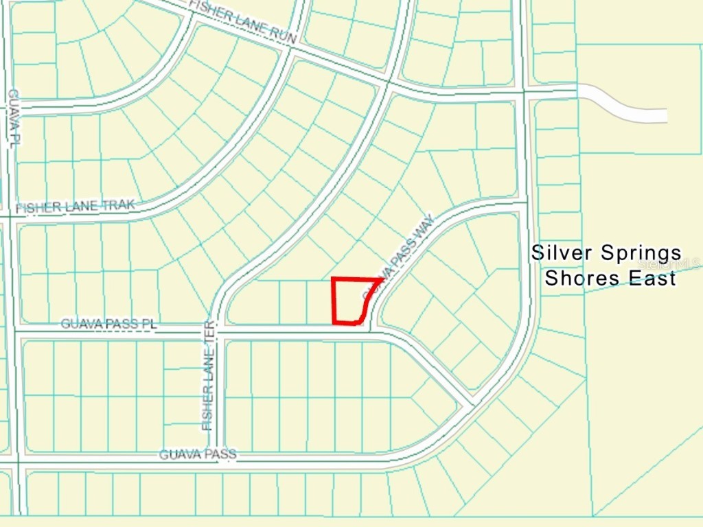 Guava Pass Way Ocklawaha FL 32179 O6240045 image4
