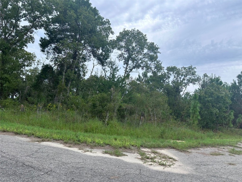 Guava Pass Way Ocklawaha FL 32179 O6240045 image5