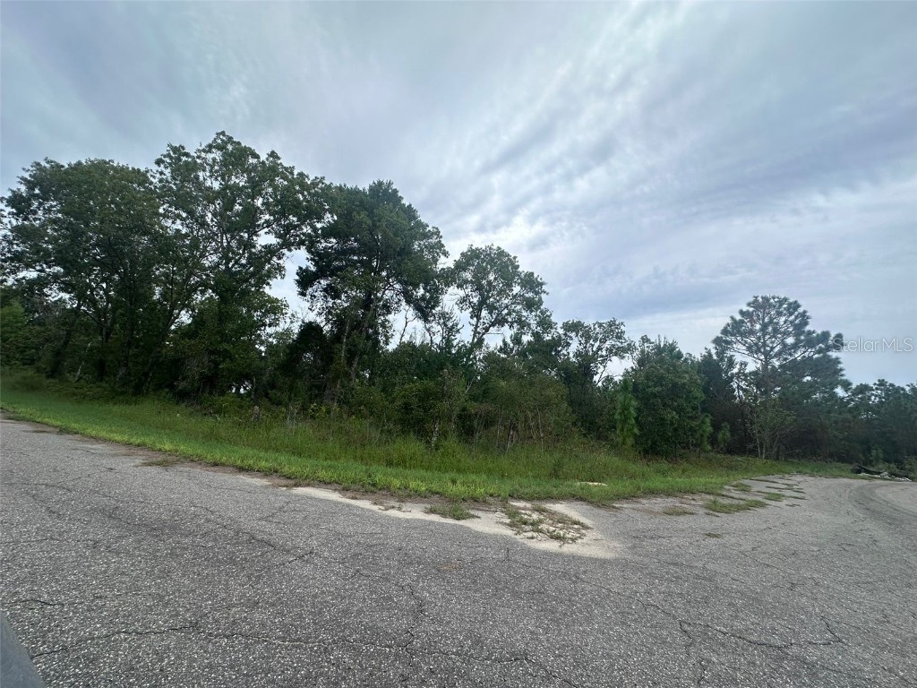 Guava Pass Way Ocklawaha FL 32179 O6240045 image6