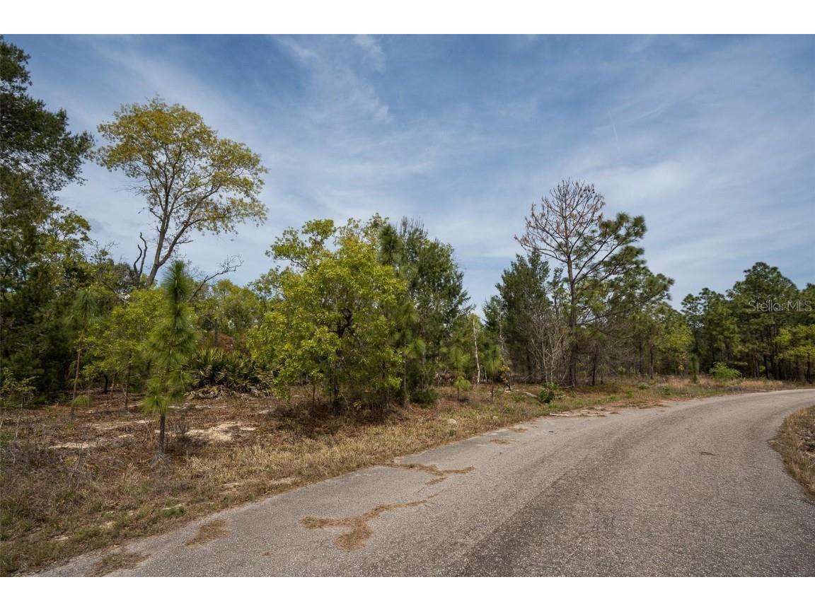 Guava Pass Way Ocklawaha FL 32179 O6240045 image8