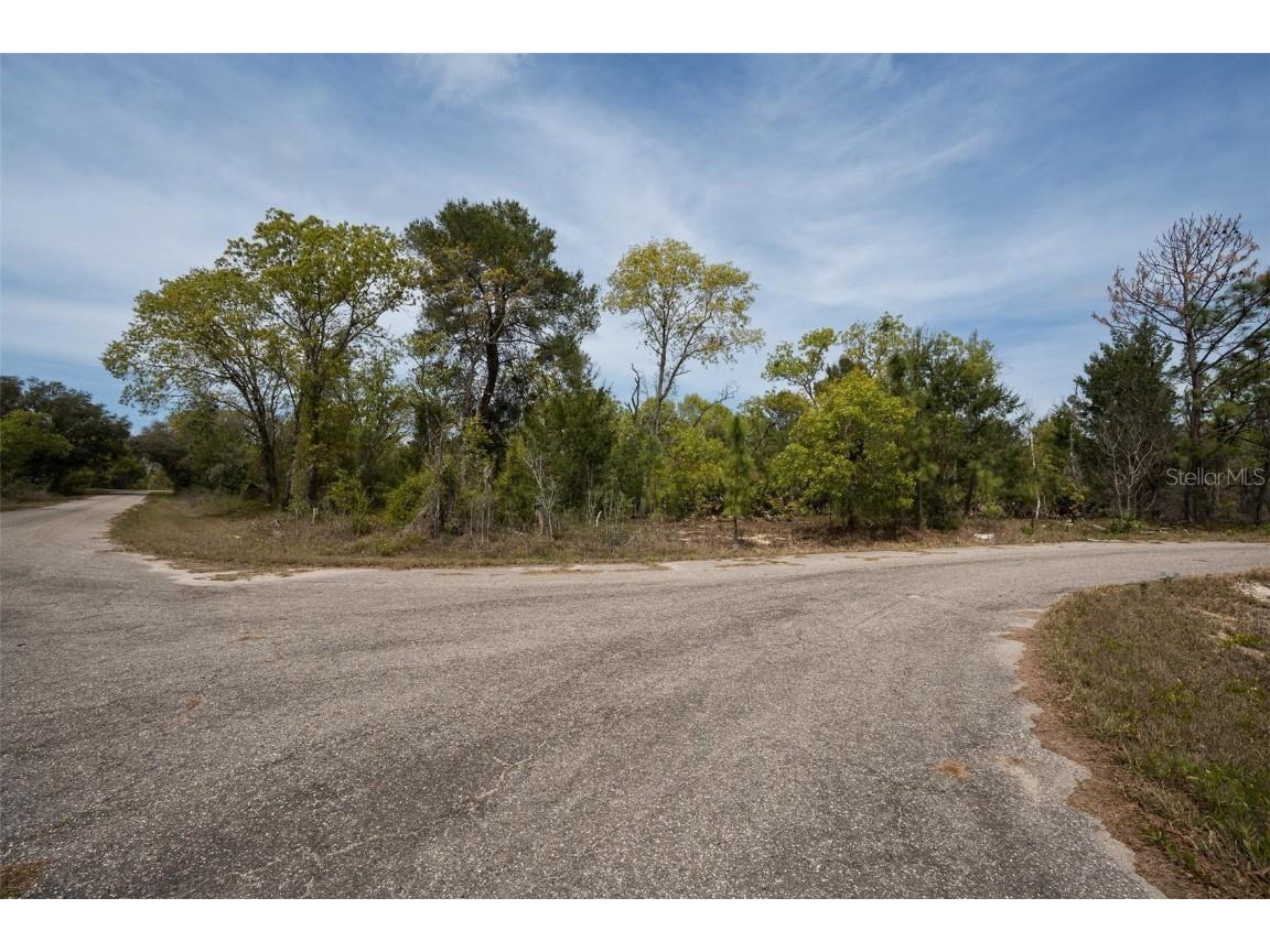 Guava Pass Way Ocklawaha FL 32179 O6240045 image9