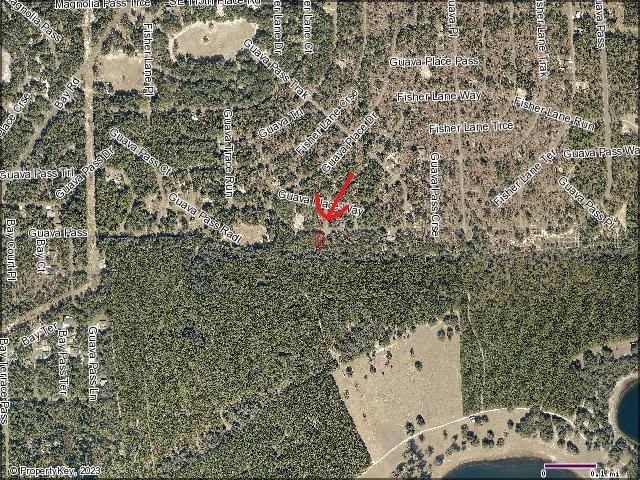 Guava Pass Weirsdale FL 32195 - PECAN LAKE A4559414 image1