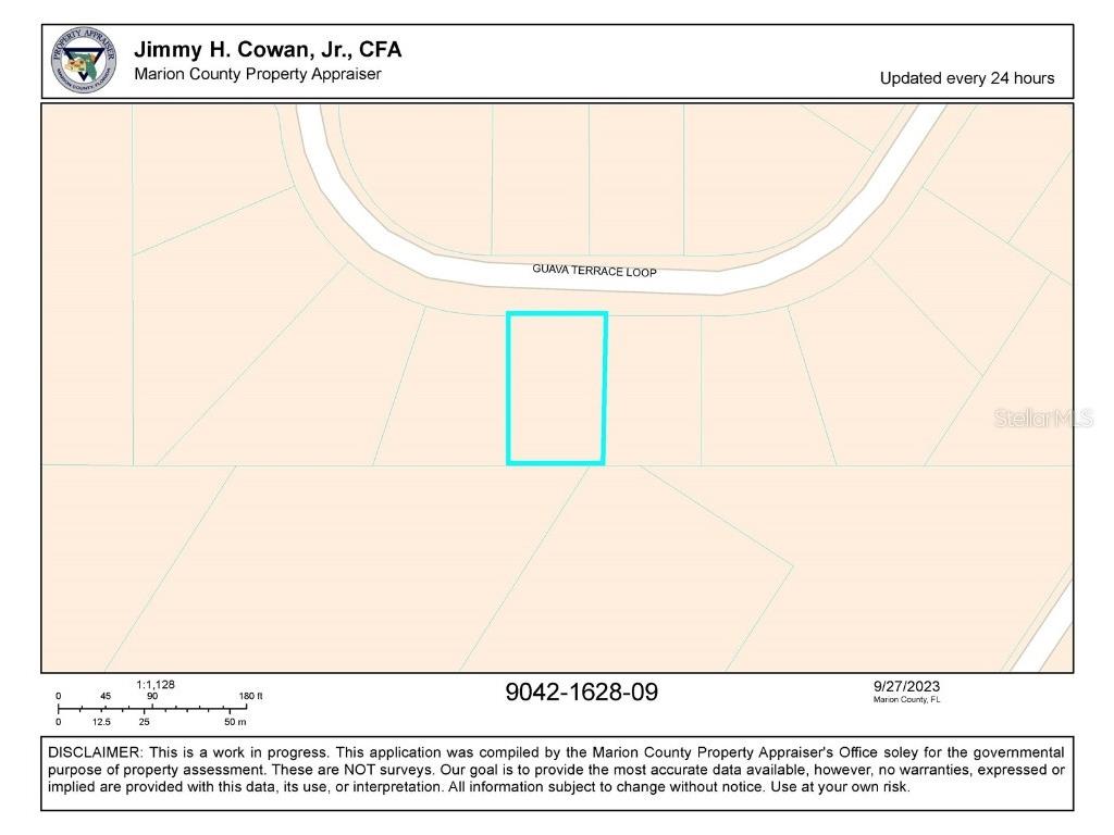 Guava Terrace Loop Ocklawaha FL 32179 V4932499 image1