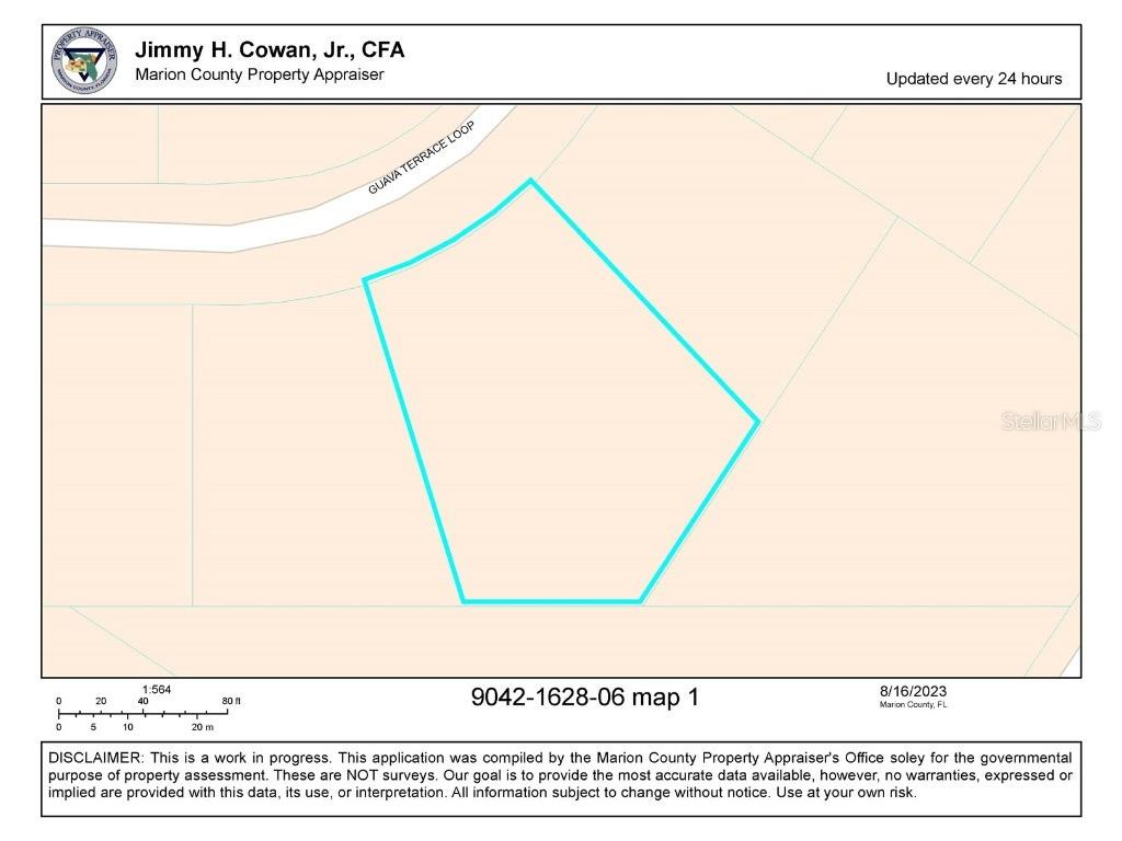 Guava Terrace Loop Ocklawaha FL 32179 V4931802 image1