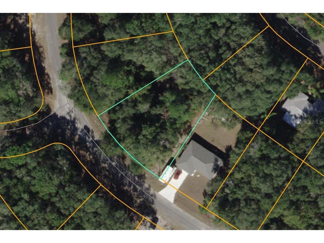 Guava Terrace Ocklawaha FL 32179 G5080020 image1