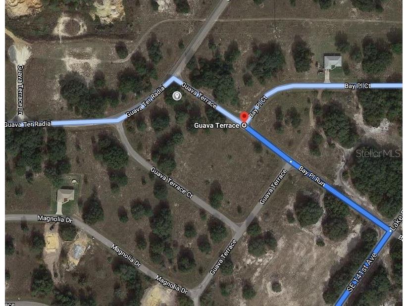 Guava Terrace Ocklawaha FL 32179 OM625019 image2