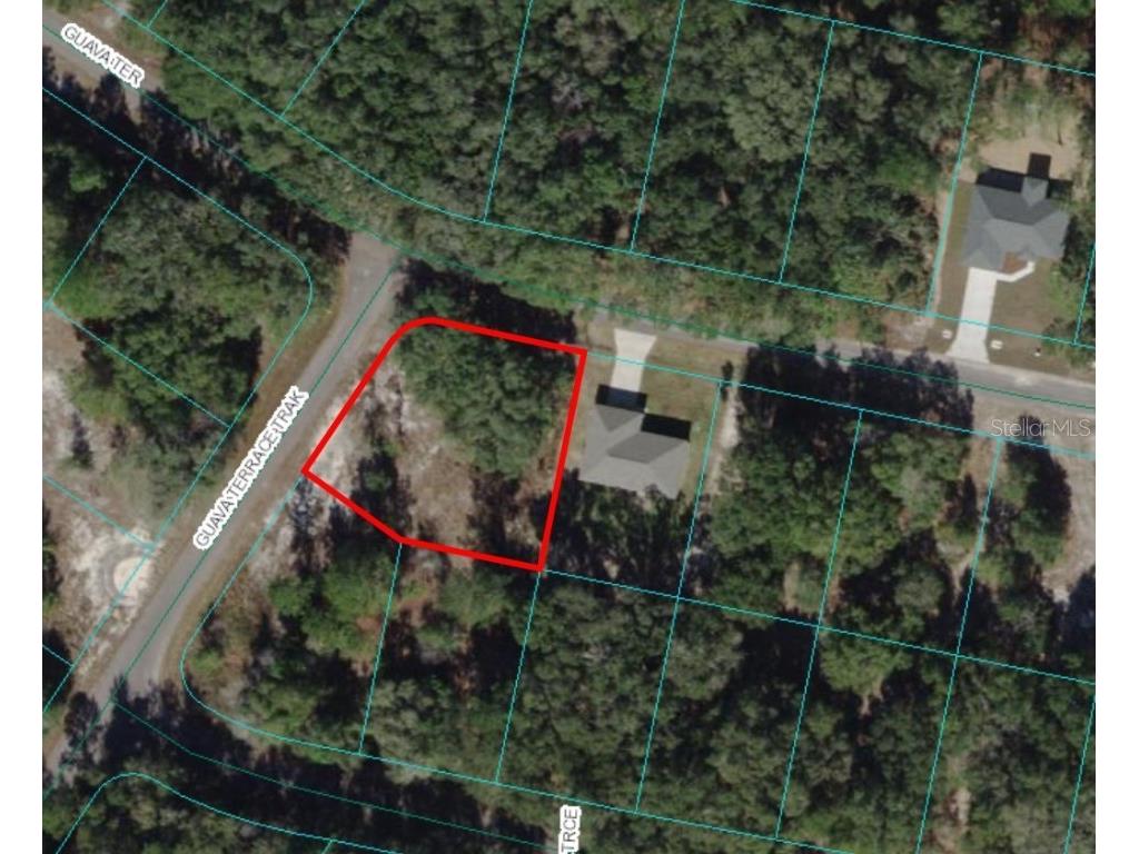 Guava Terrace Ocklawaha FL 32179 T3499974 image1