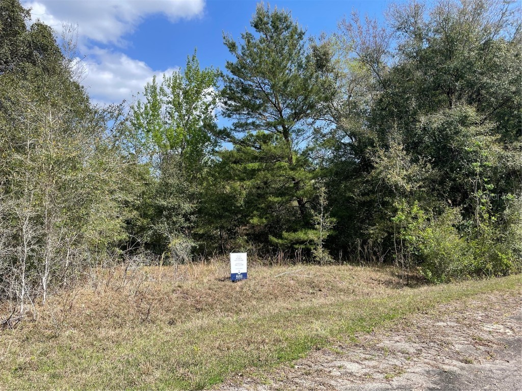 Guava Terrace Ocklawaha FL 32179 V4929161 image1