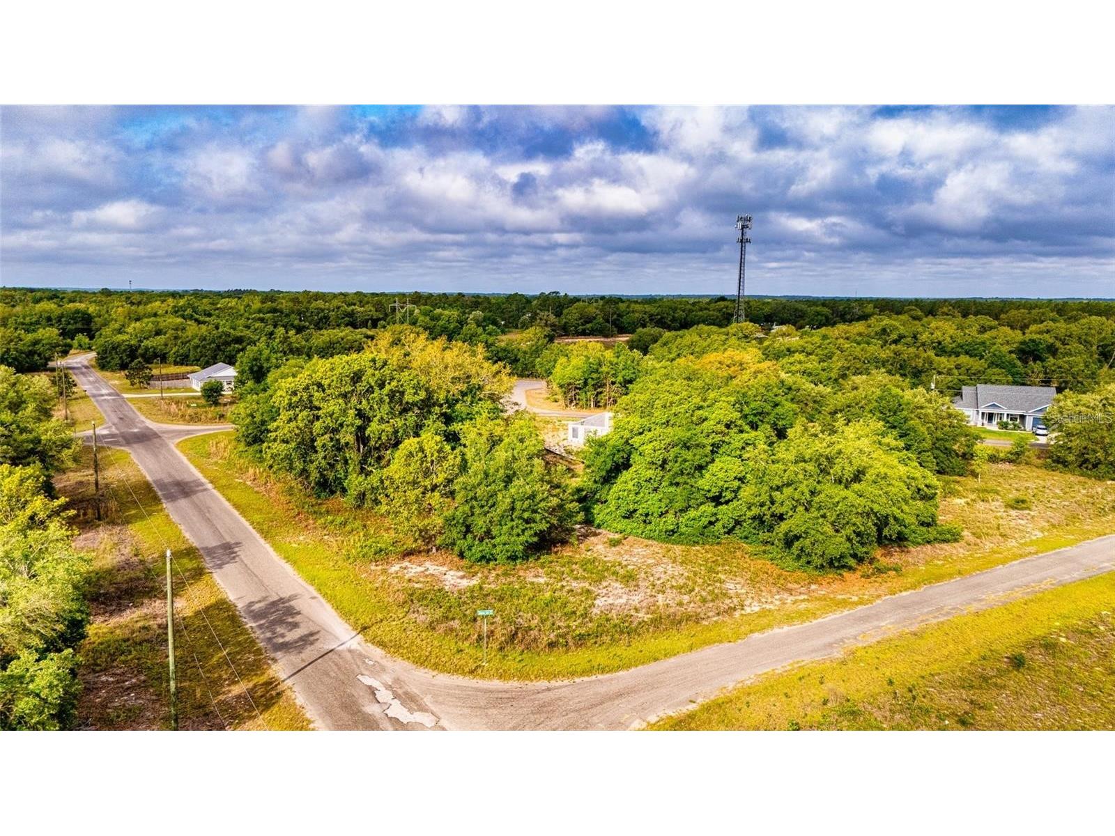 Guava Terrace Ocklawaha FL 32179 D6147449 image3