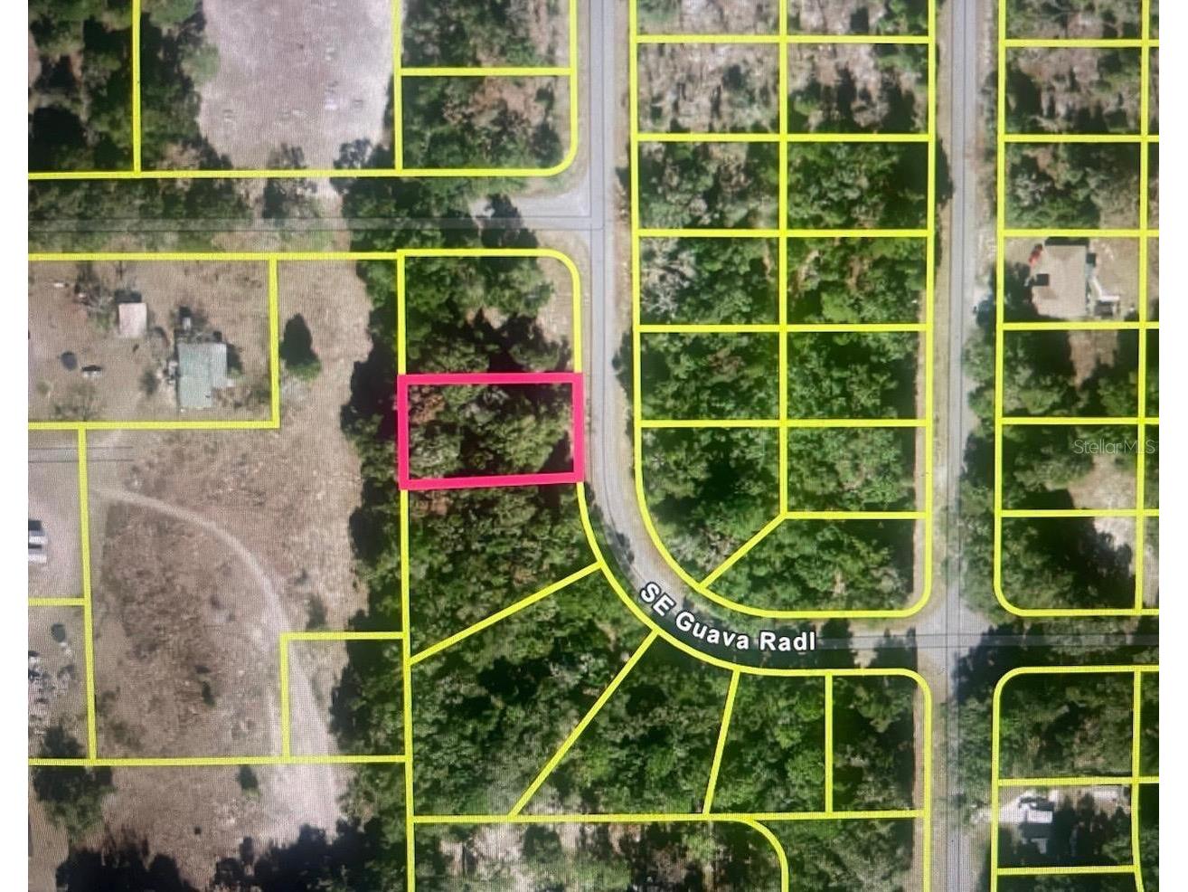 Guava Terrace Radial Ocklawaha FL 32179 O6388264 image1
