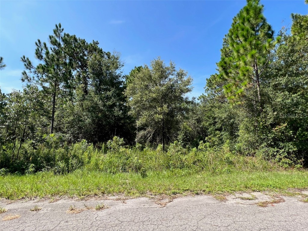 Guava Terrace Radl Ocklawaha FL 32179 OM663068 image1