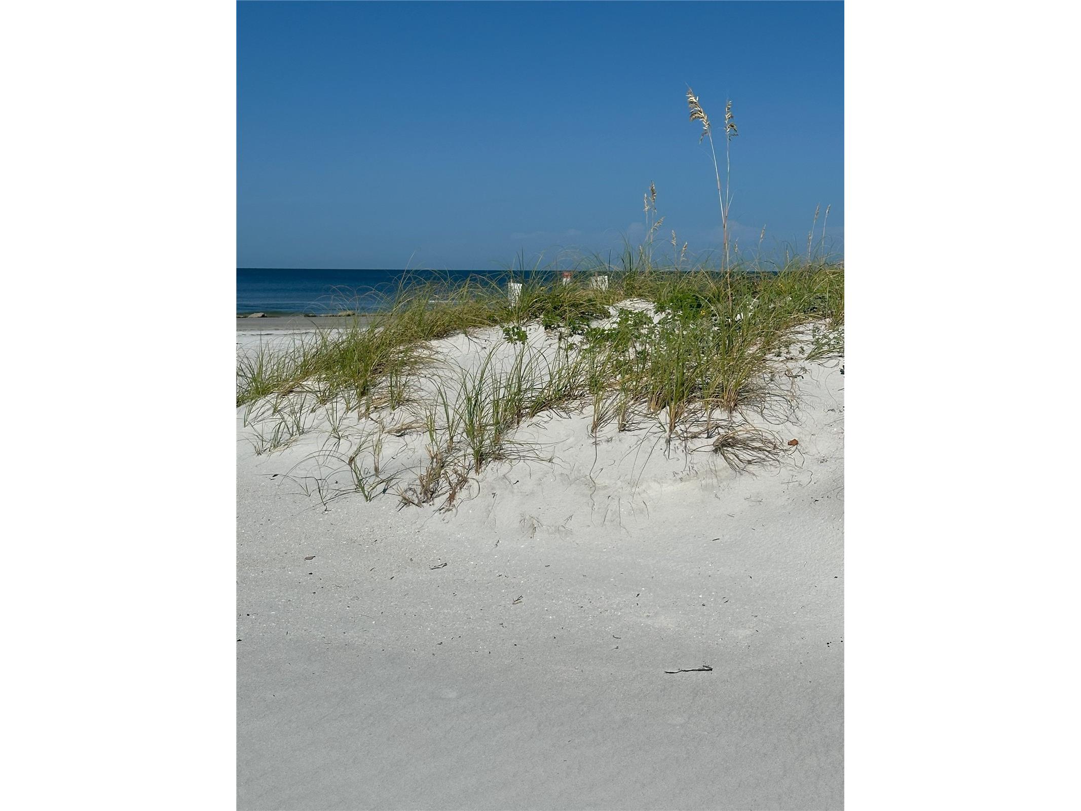 Gulf Boulevard Redington Shores FL 33708 TB8528419 image11