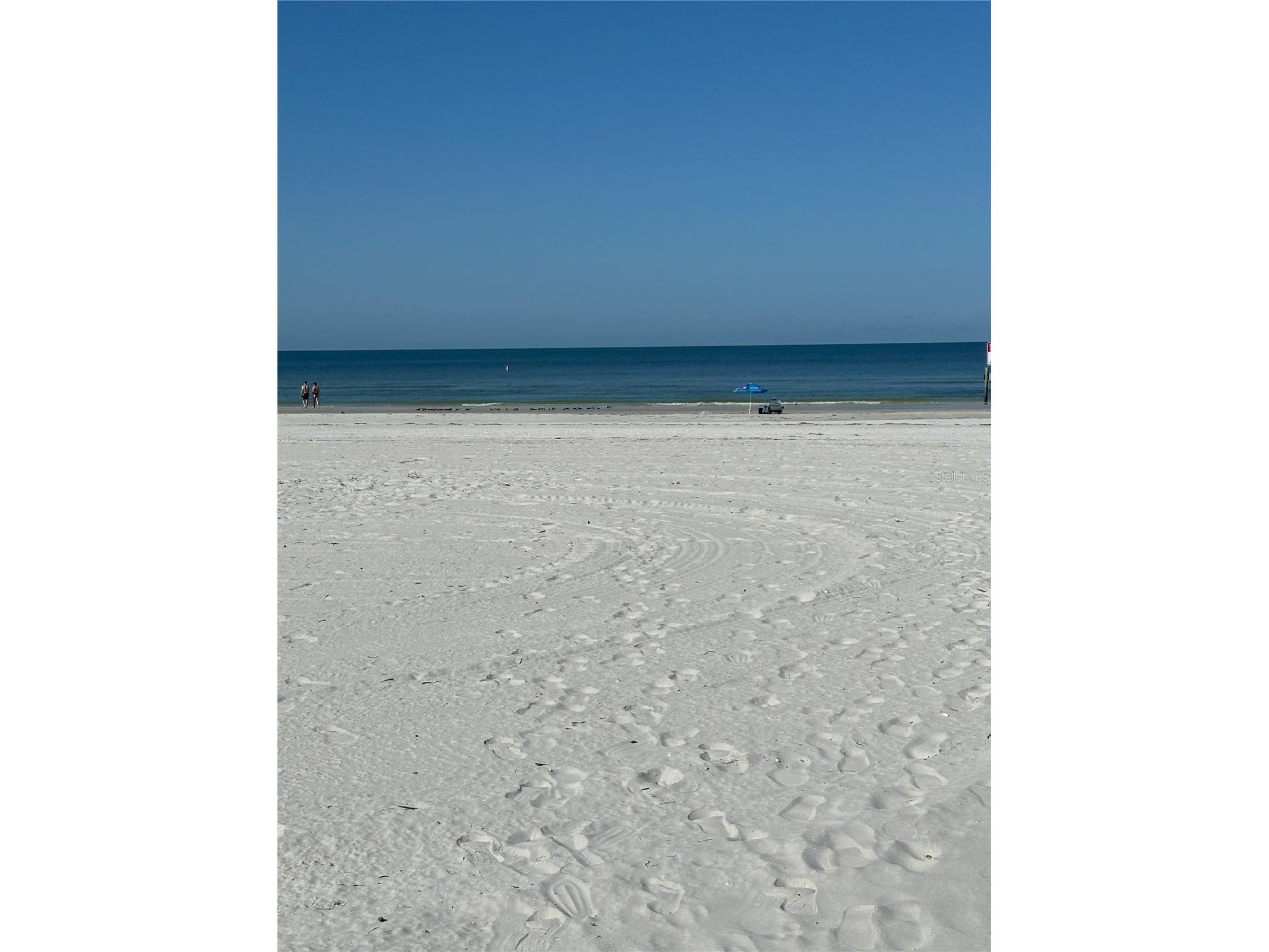 Gulf Boulevard Redington Shores FL 33708 TB8528419 image13