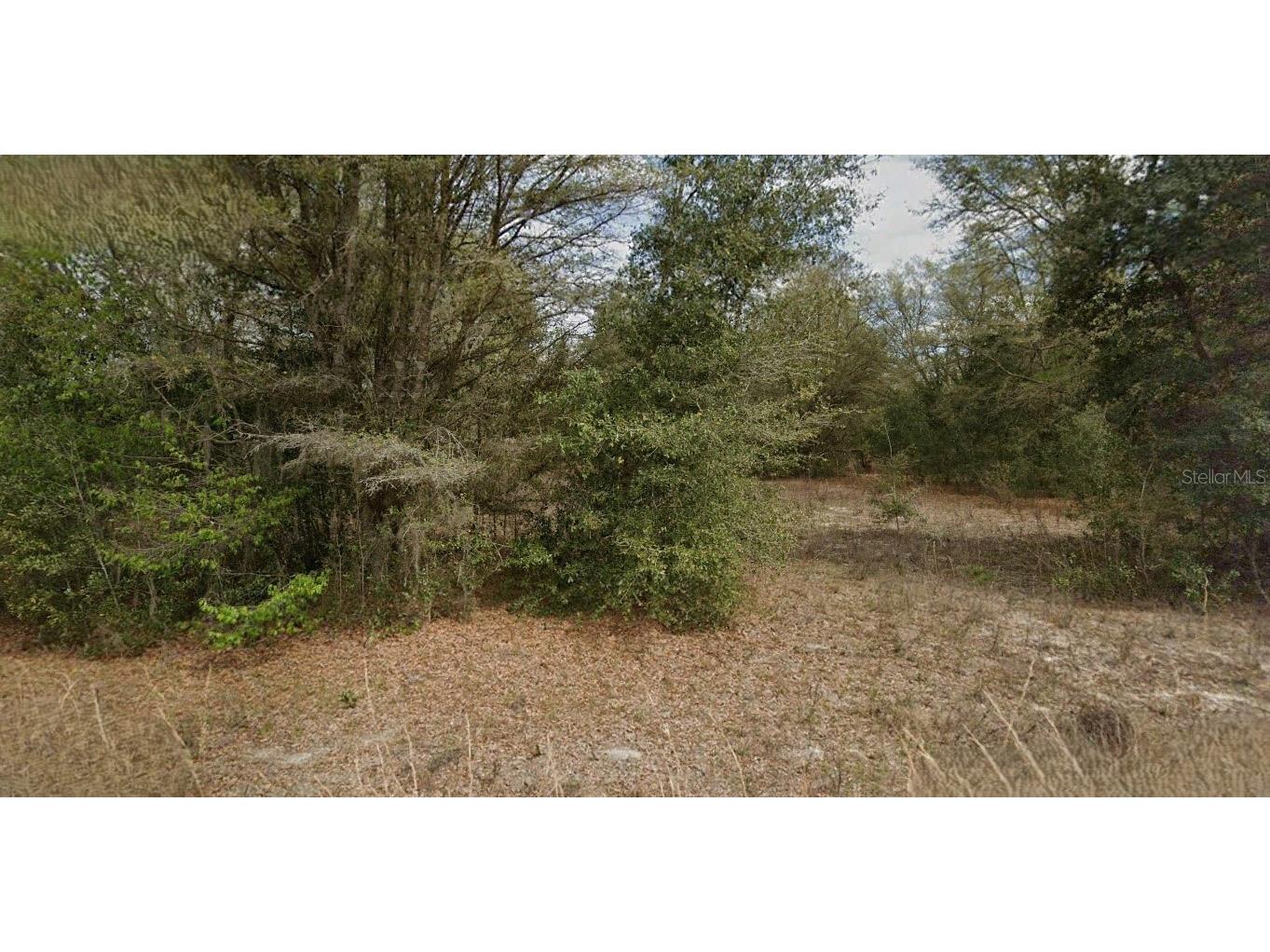 Guy Avenue Interlachen FL 32148 O6346533 image1