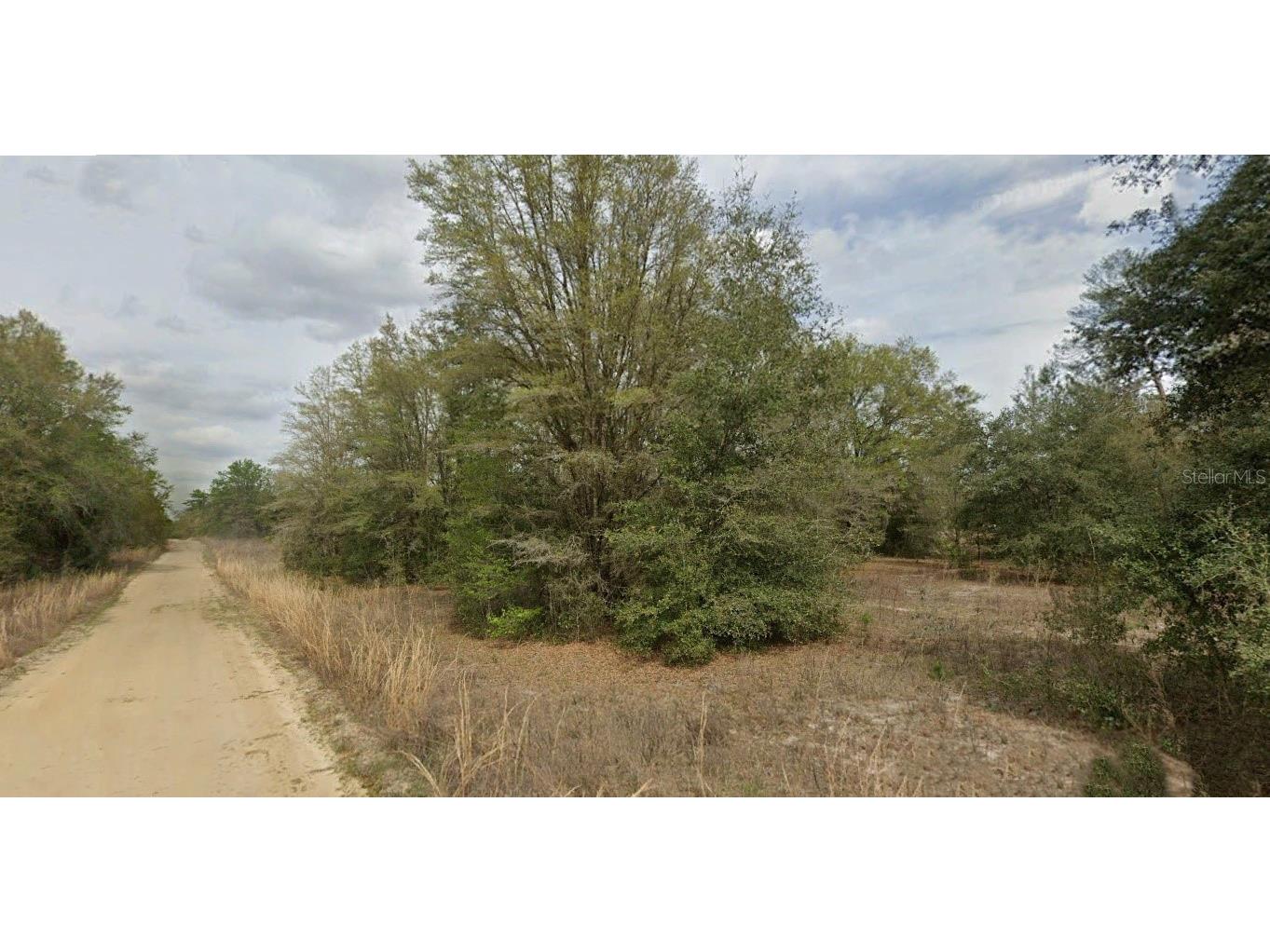 Guy Avenue Interlachen FL 32148 O6346533 image3