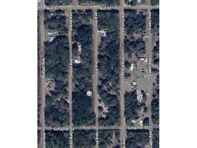 Guy Avenue Interlachen FL 32148 OM696893 image2