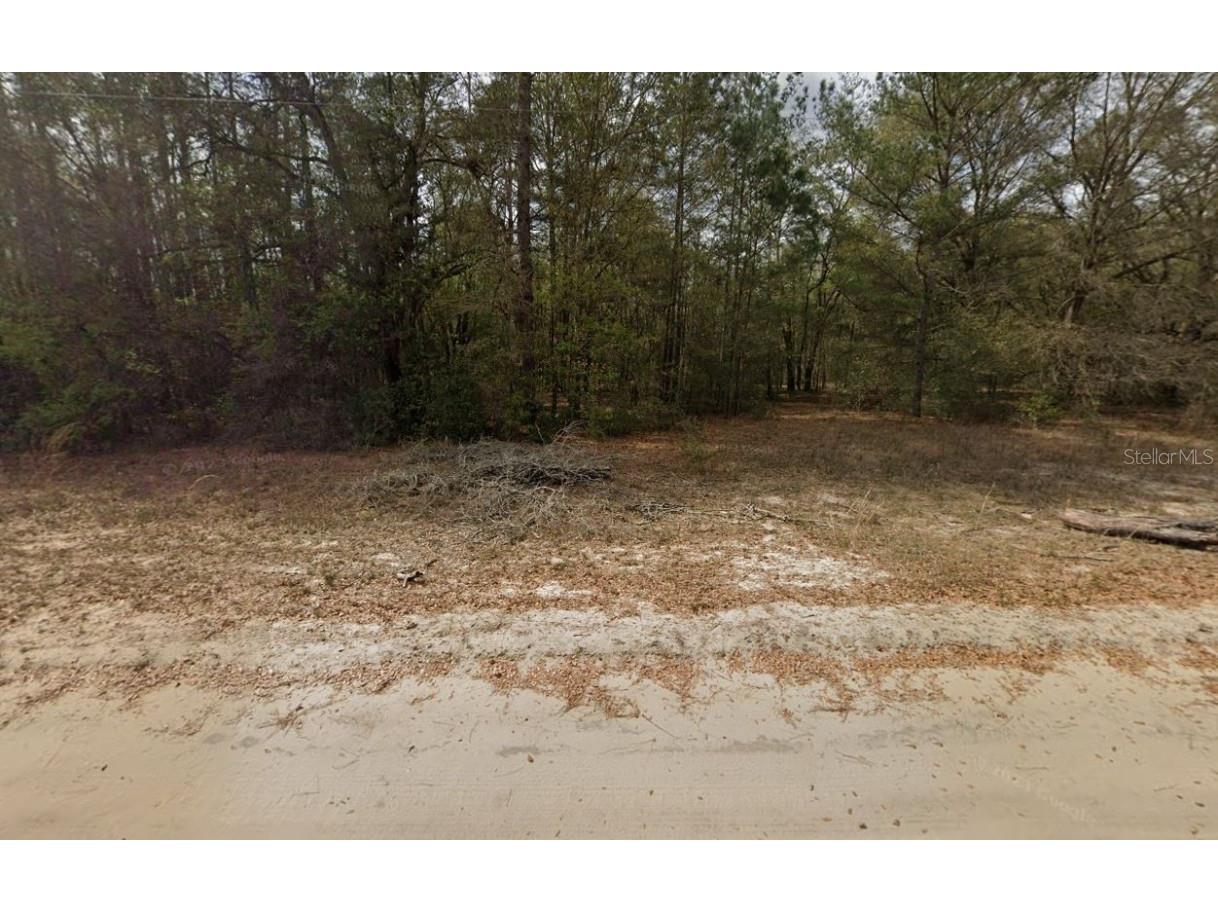 Guy Avenue Interlachen FL 32148 OM696893 image3