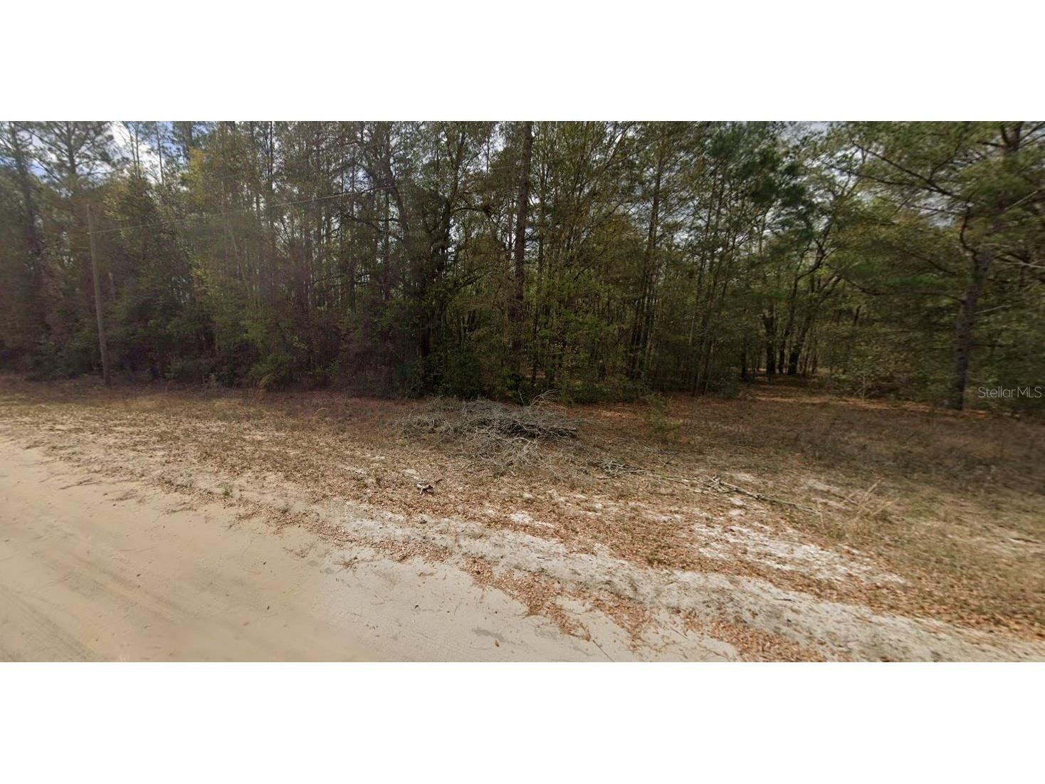 Guy Avenue Interlachen FL 32148 OM696893 image4