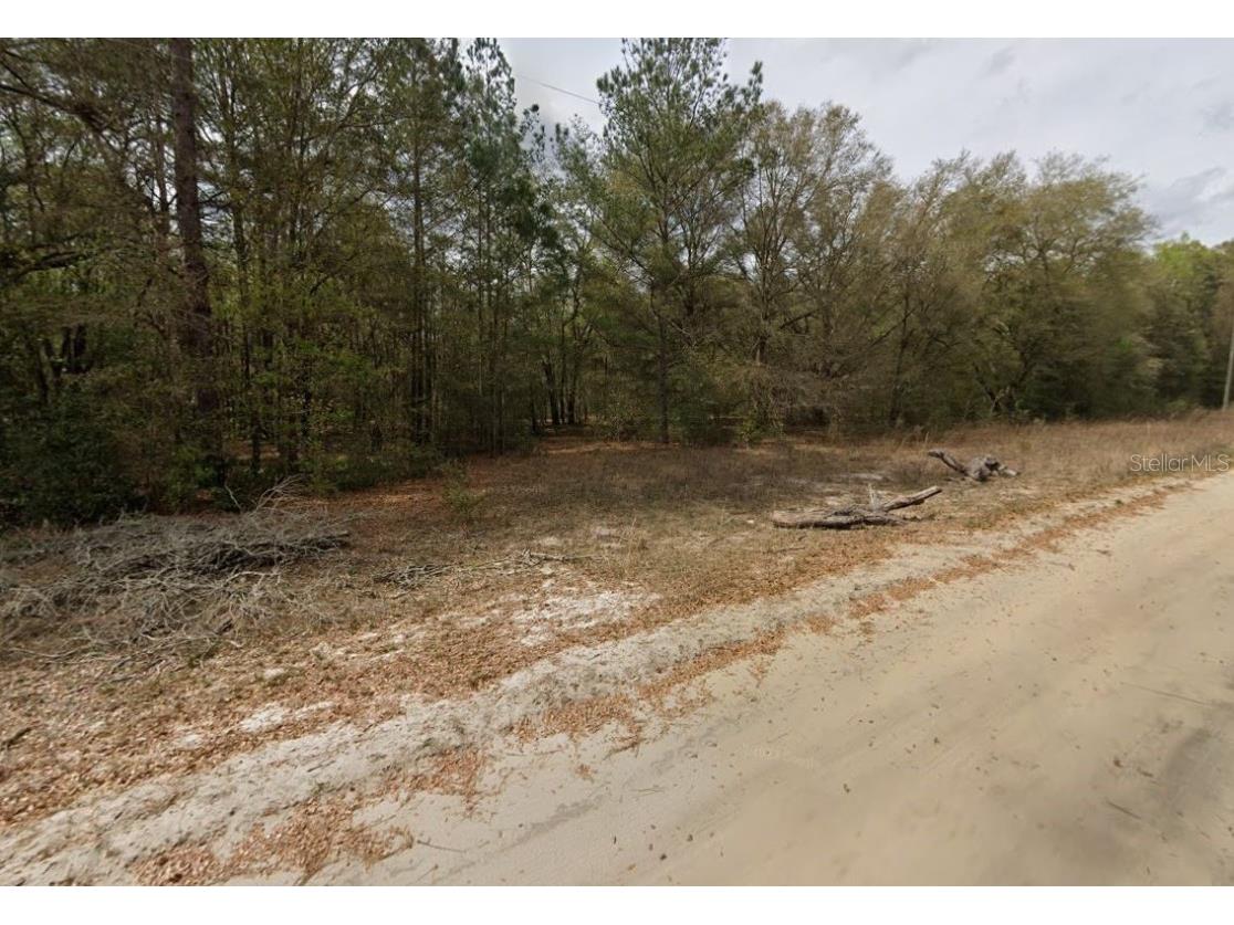 Guy Avenue Interlachen FL 32148 OM696893 image5