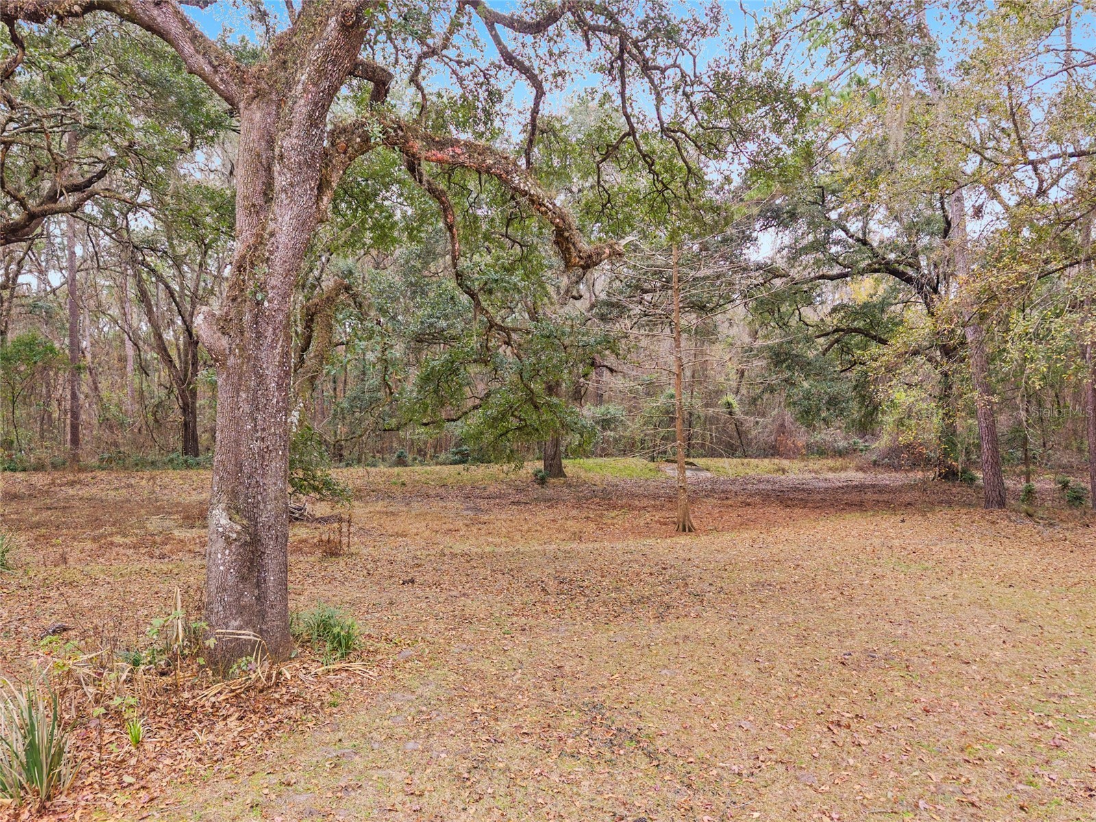 11121 NW 15th Place Gainesville FL 32606 GC537096 image77