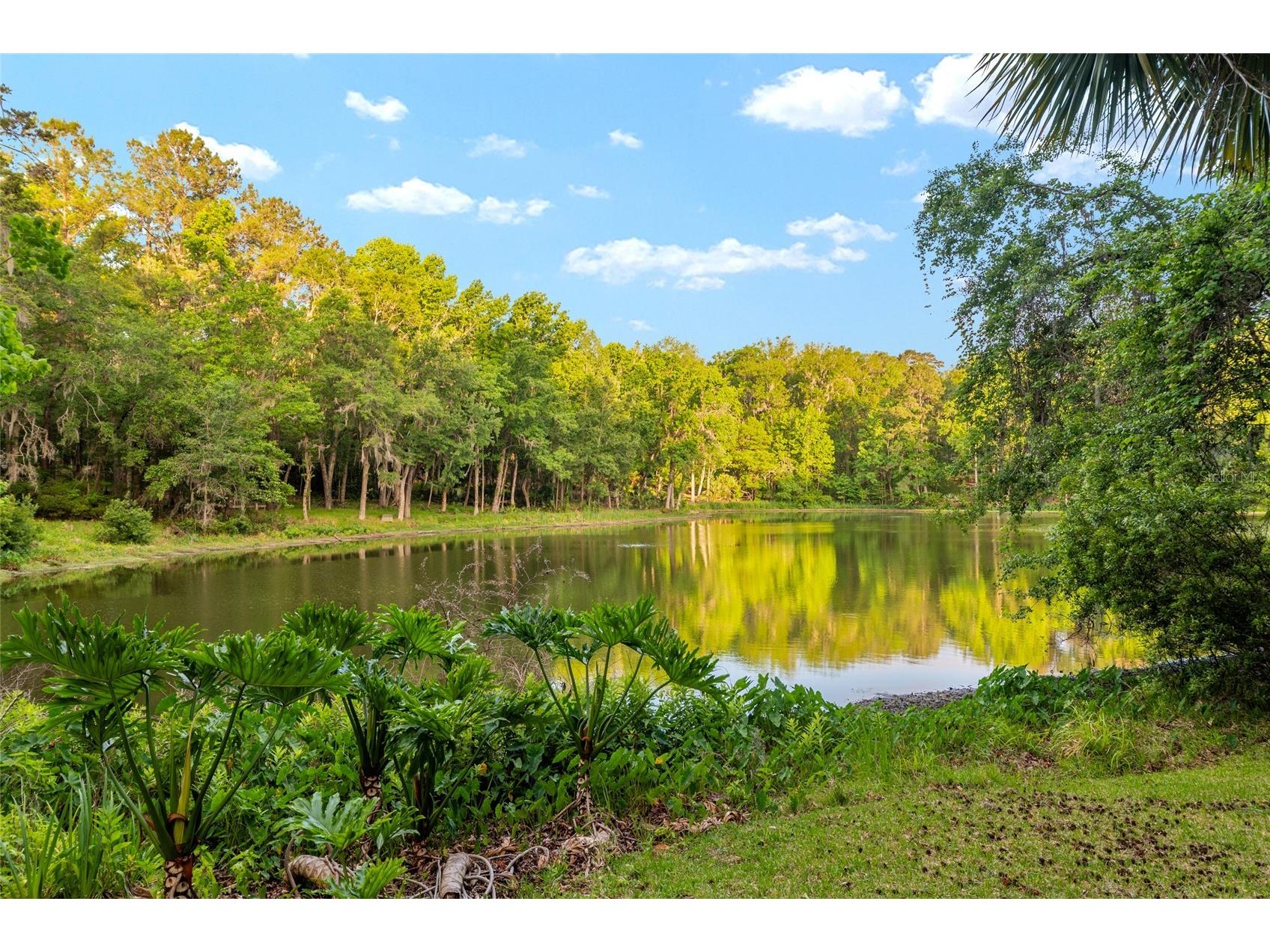 9417 NW 59th Lane Gainesville FL 32653 GC539910 image83