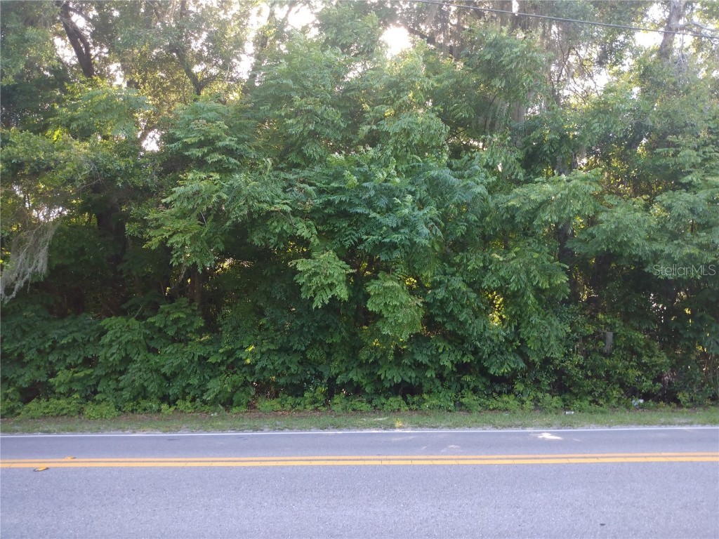  Geneva FL 32732 O6312915 image1