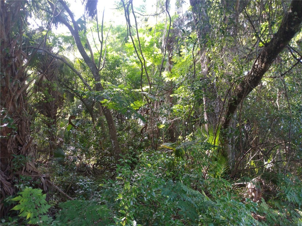  Geneva FL 32732 O6312915 image2