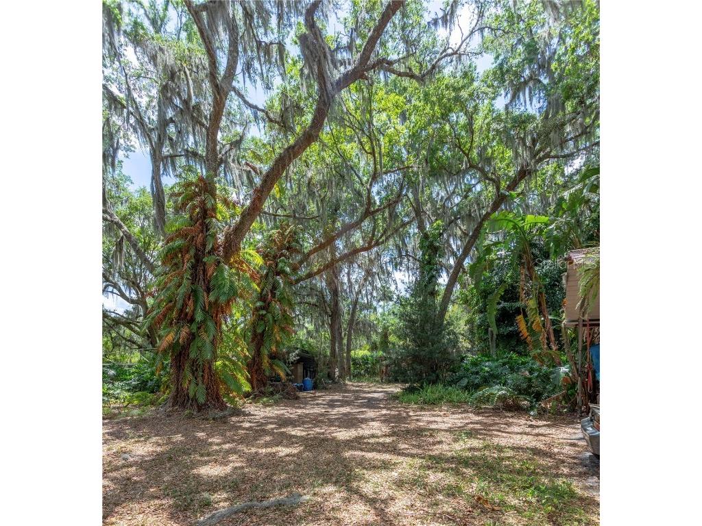  Geneva FL 32732 O6344072 image17