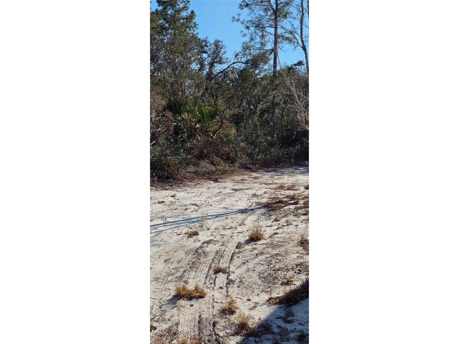  Groveland FL 34736 G5109444 image11