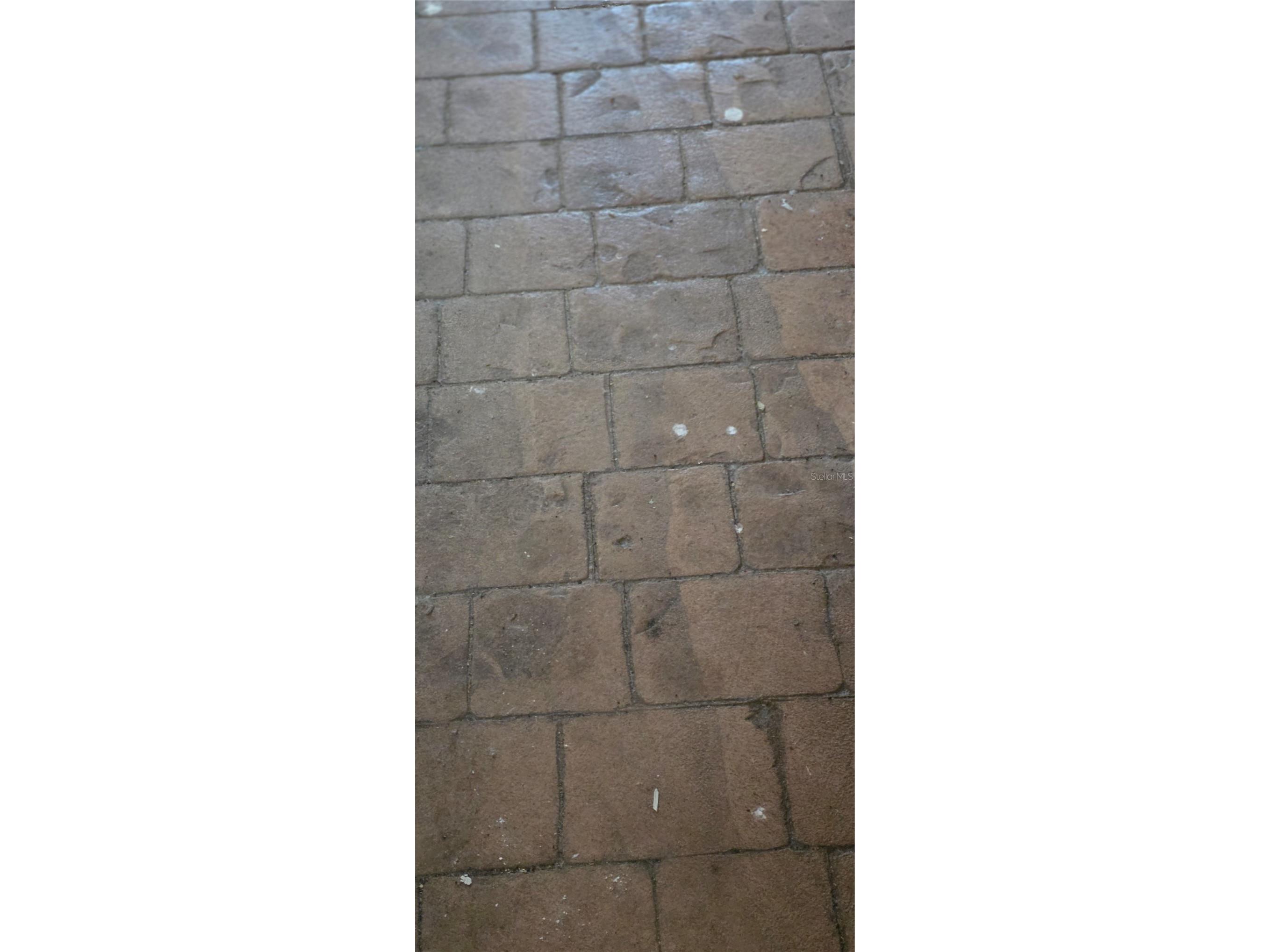  Groveland FL 34736 G5109444 image6