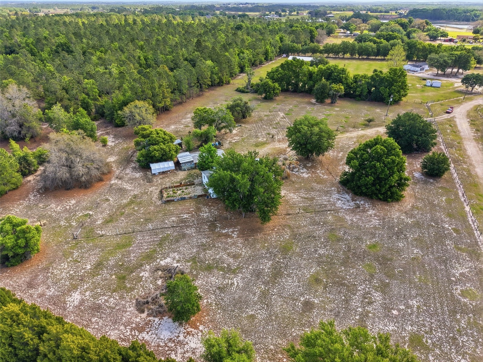  Groveland FL 34736 O6397401 image6