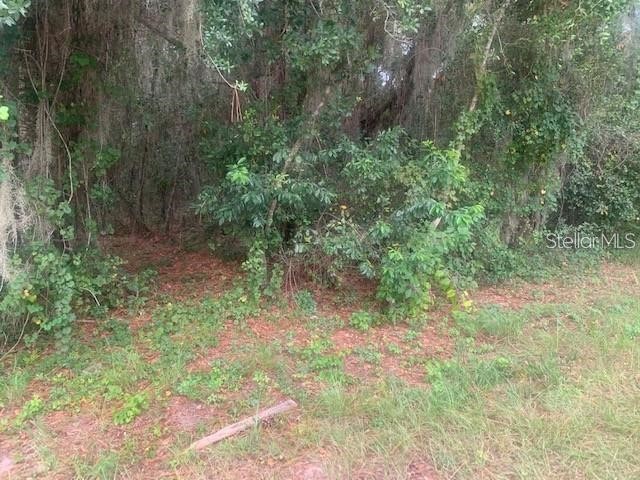  Groveland FL 34736 S5145369 image2