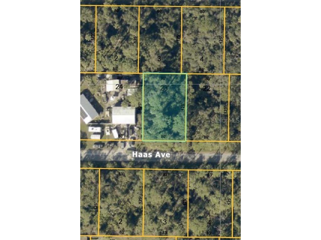 Haas Avenue North Port FL 34291 N6142054 image1