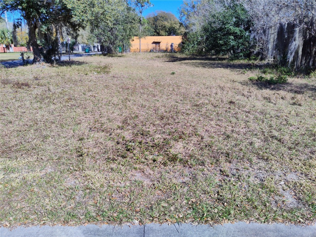 Hackett Street Mount Dora FL 32757 O6181615 image1