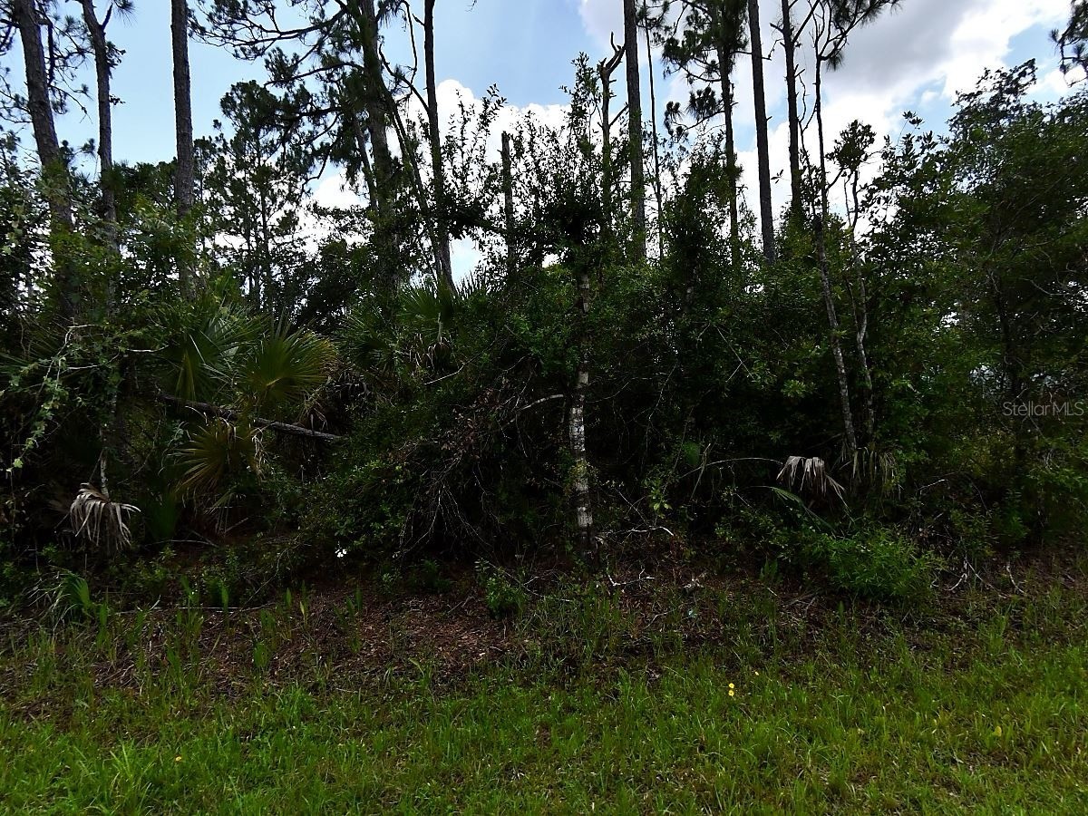 Hackley Road North Port FL 34291 A4681670 image5