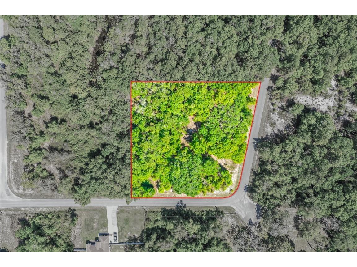 Hackwood Avenue Webster FL 33597 T3363336 image1