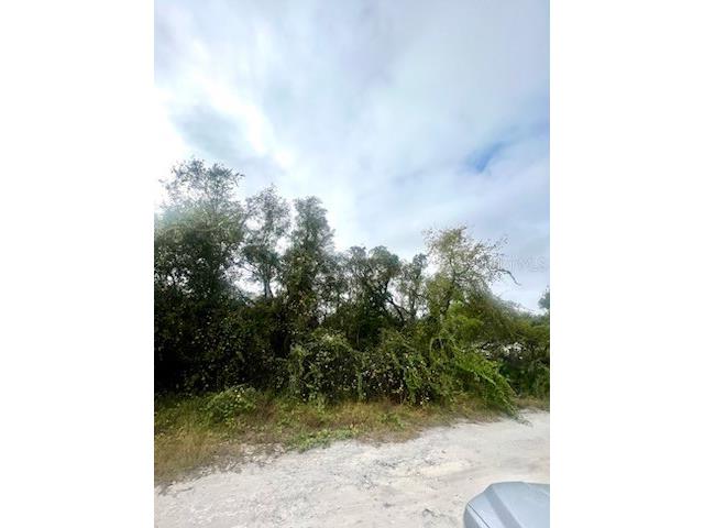 Hagar Drive New Port Richey FL 34652 TB8451996 image10