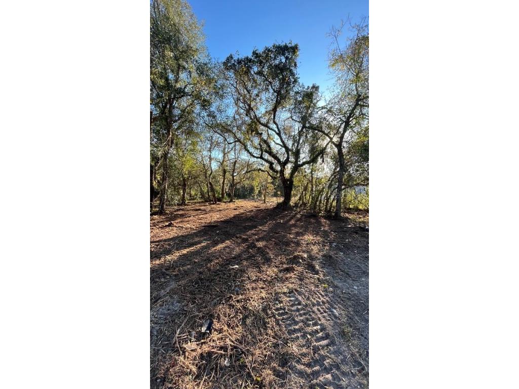 Hagar Drive New Port Richey FL 34652 TB8451996 image2