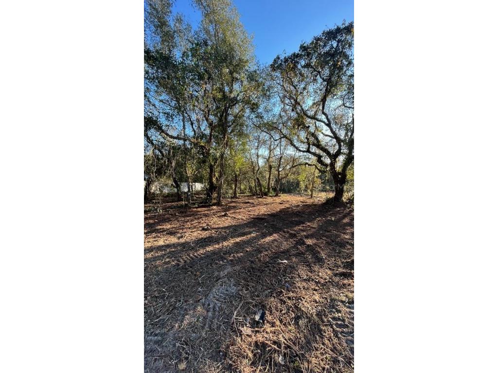 Hagar Drive New Port Richey FL 34652 TB8451996 image3