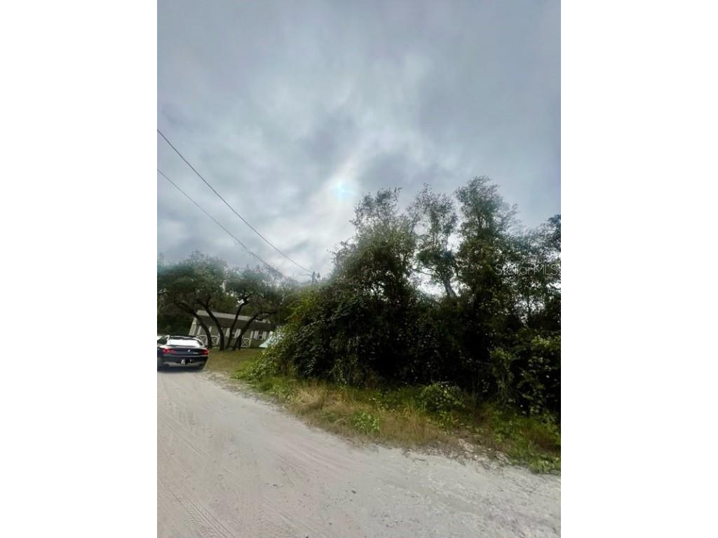 Hagar Drive New Port Richey FL 34652 TB8451996 image9